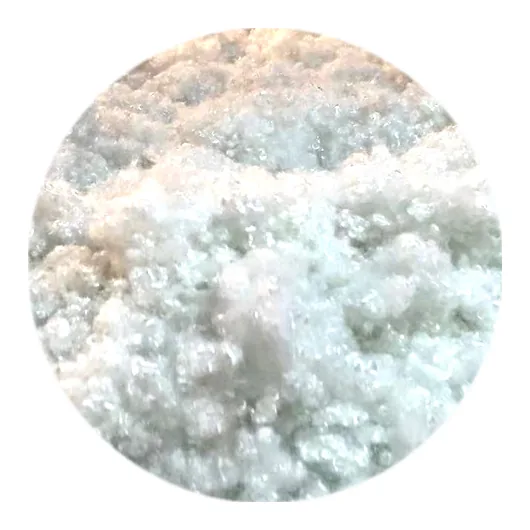 Hollow Conjugated Siliconized